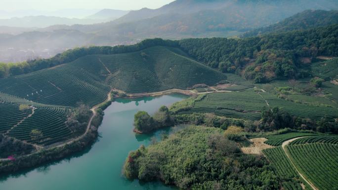 简介有合集 杭州龙坞茶园 光明寺水库