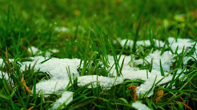 自然 冰雪融化  雪融化 冰雪融化延时