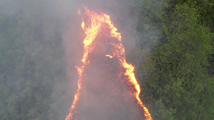 山火现场航拍素材