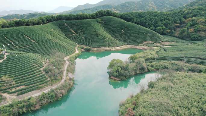 杭州龙坞茶园 光明寺水库