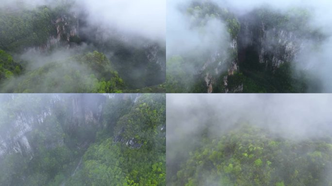 云雾笼罩仙女山4K意境航拍