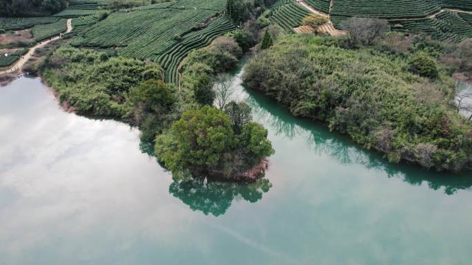 杭州龙坞茶园 光明寺水库