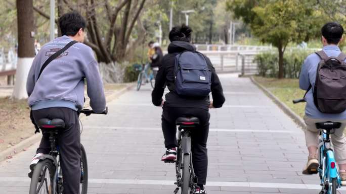 西南交通大学 校园 青葱岁月 少年 樱花