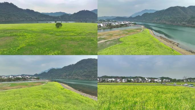 宣城皖南油菜花田航拍