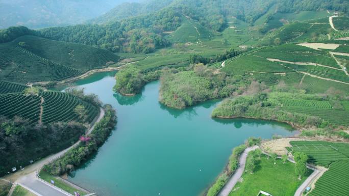 杭州龙坞茶园 光明寺水库