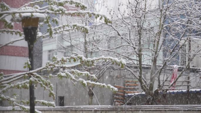 冬日雪景空镜头清新低饱和延时视频