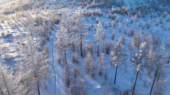 航拍大兴安岭林海雪原雾凇