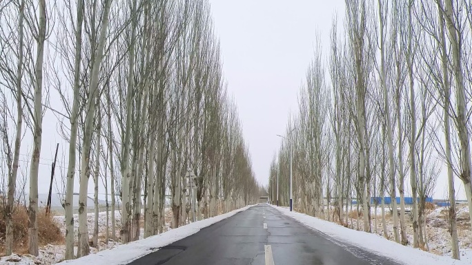 阴雪天农村道路行车记录