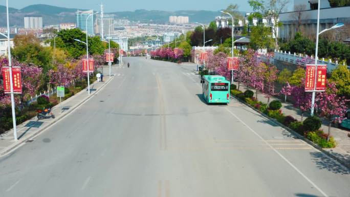 文山市华龙北路唯美樱花街道公交车转头