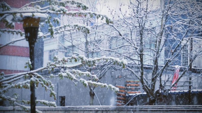 冬日清新浪漫下雪雪景校园延时空镜头