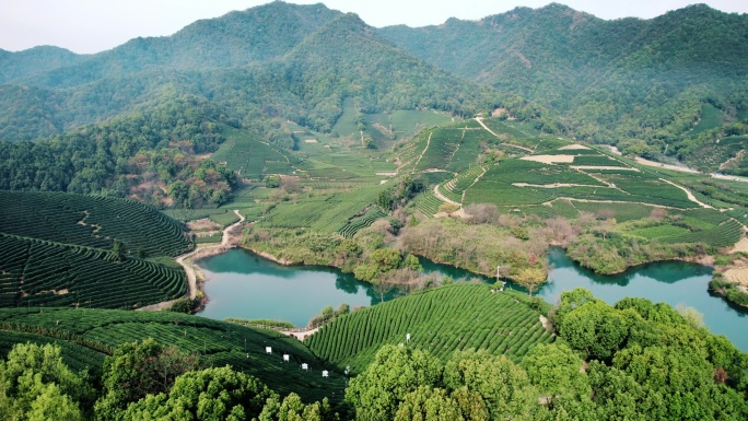 （简介有合集）杭州龙坞茶园 光明寺水库