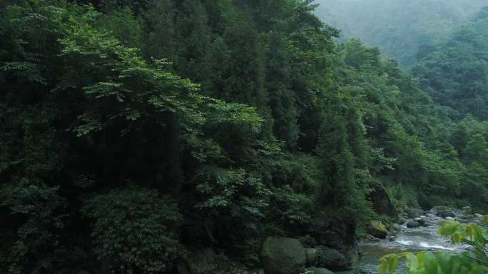 峨眉后山夏日山涧溪流清凉宜人