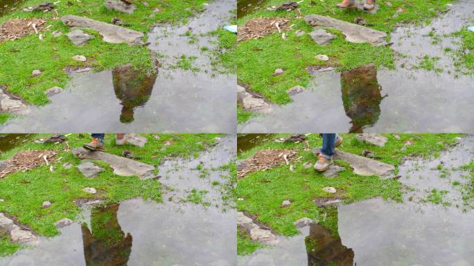 草地 户外 溪流 脚步 踩水 走过 淌水
