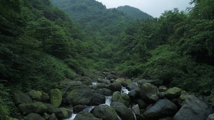 航拍夏日峨眉山青山绿水山涧溪流