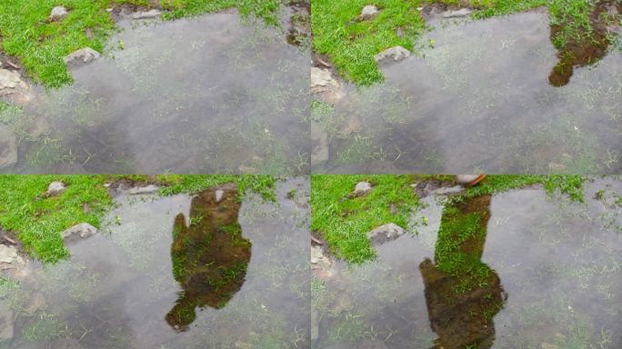 下雨后积水 雨后倒影 流水 水源