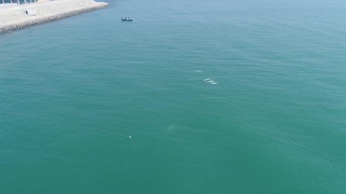 港珠澳大桥海豚生态航拍4k