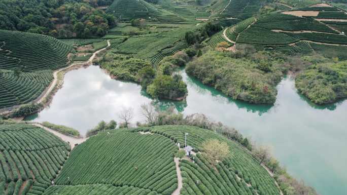 杭州龙坞茶园 光明寺水库