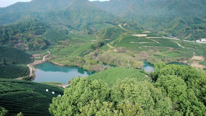 杭州龙坞茶园 光明寺水库