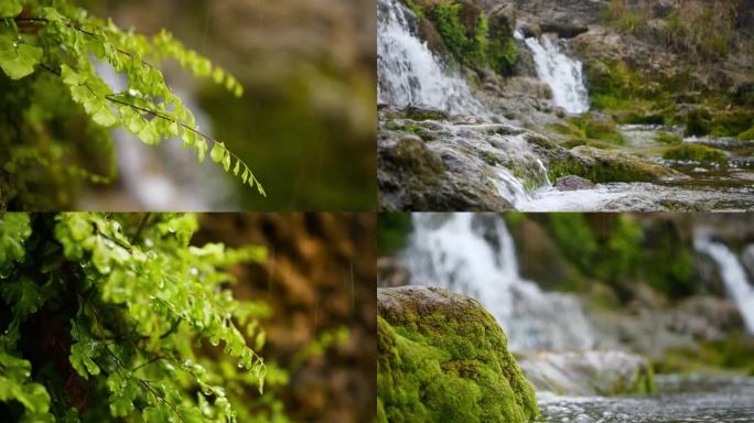 春天 春雨 春水流