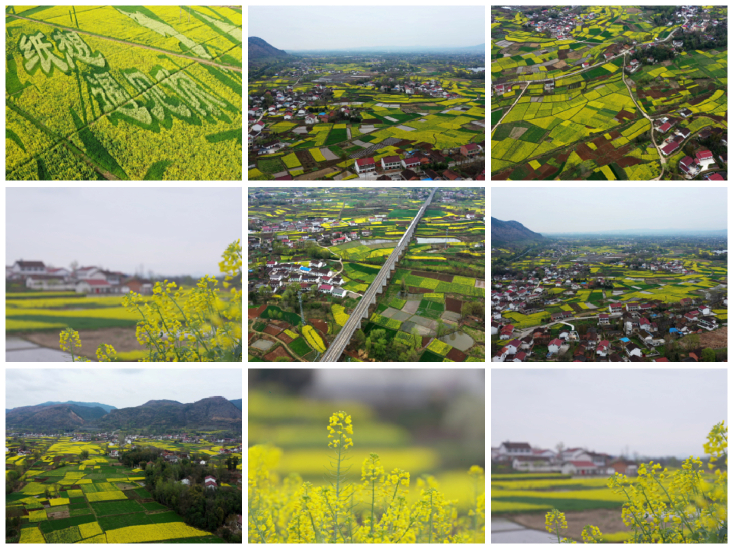 汉中油菜花 高铁 美丽乡村