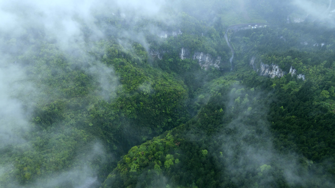 云雾笼罩重庆仙女山4K意境航拍