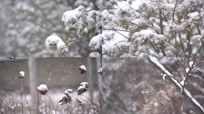 下雪唯美慢镜头