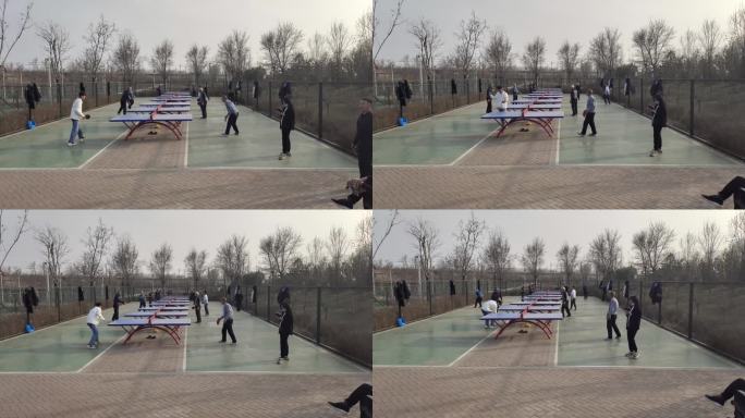 公园乒乓球