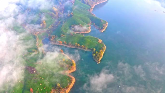 【4K合集】浉河港南湾湖茶山云雾云海