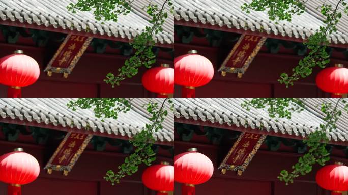 杭州三天竺法镜寺前的银杏树叶