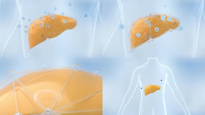 AE+3D肝脏 修护 养肝护肝肝脏损伤