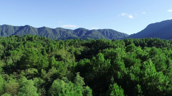 绿水青山 山水 金溪 风景 云雾 云海