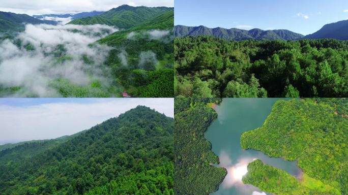 绿水青山 山水 金溪 风景 云雾 云海