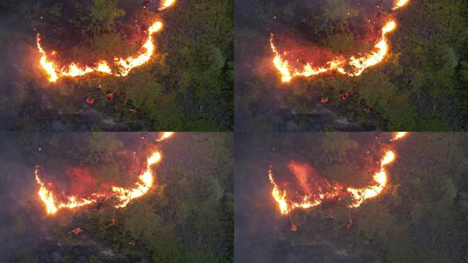 森林火灾俯瞰消防员灭火