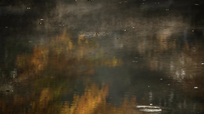 杭州九溪秋天早晨飘着雾气的水面倒映着枫叶