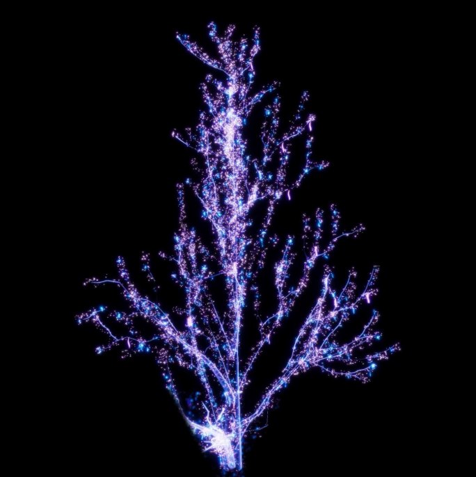 抽象粒子树生长