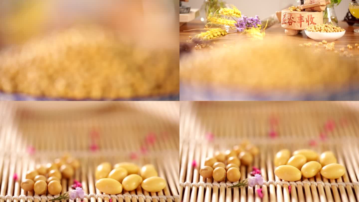 【镜头合集】清水泡发的黄豆大豆豆子1