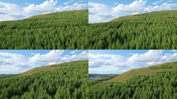 4K崇礼蓝天青山树林航拍山川松树