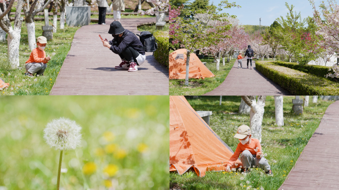 春天踏青户外郊游赏花孩子采摘蒲公英拍照