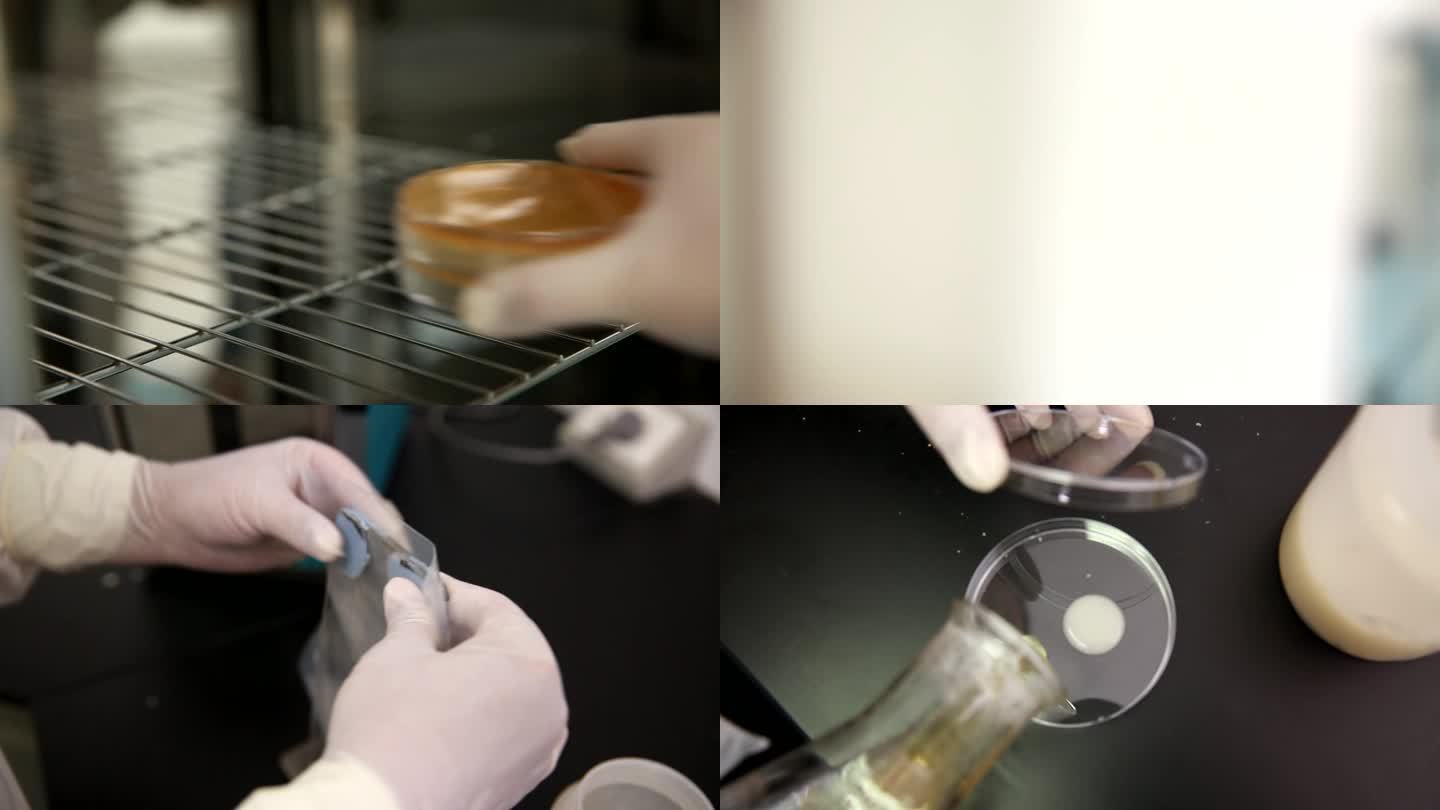 【镜头合集】实验室检验采集细菌样本菌1
