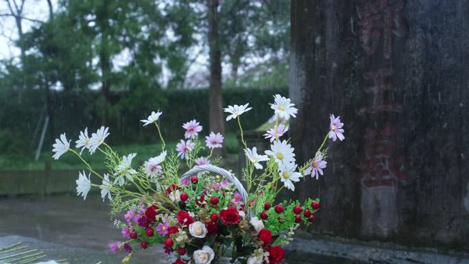 慢动作拍摄雪天杭州岳王庙的坟墓碑前的鲜花