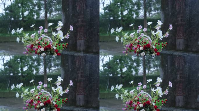 慢动作拍摄雪天杭州岳王庙的坟墓碑前的鲜花
