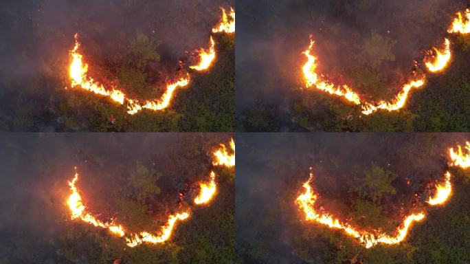 森林山火现场航拍消防员灭火