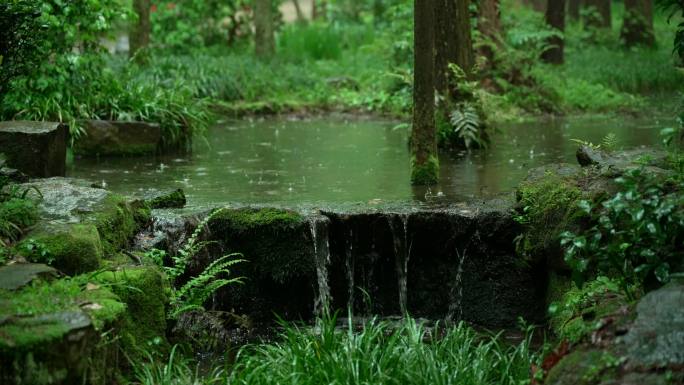 杭州虎跑下雨天绿色树林里小瀑布传来流水声