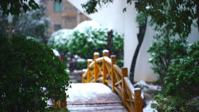 春分浪漫 唯美 雪景 阳春白雪 雪中飞花