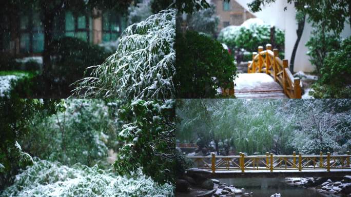 春分浪漫 唯美 雪景 阳春白雪 雪中飞花