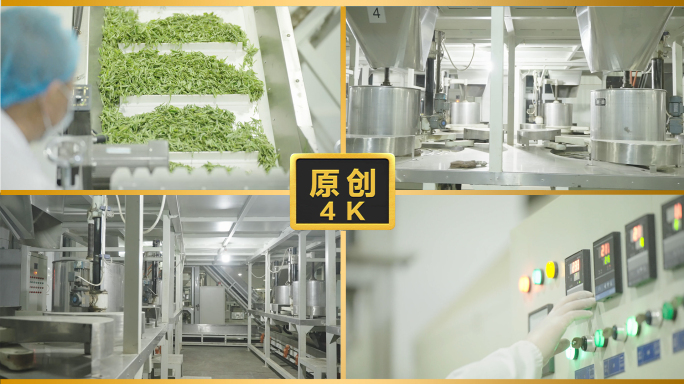 茶厂制茶绿茶茶企制茶工厂茶叶生产加工检测