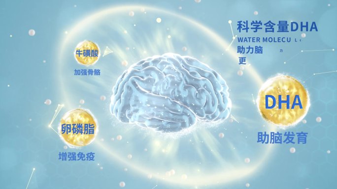 金色补充大脑营养智力提升脑部发育 DHA