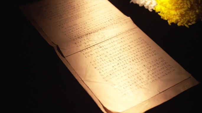 1931年7月高文华写给父亲的信C028