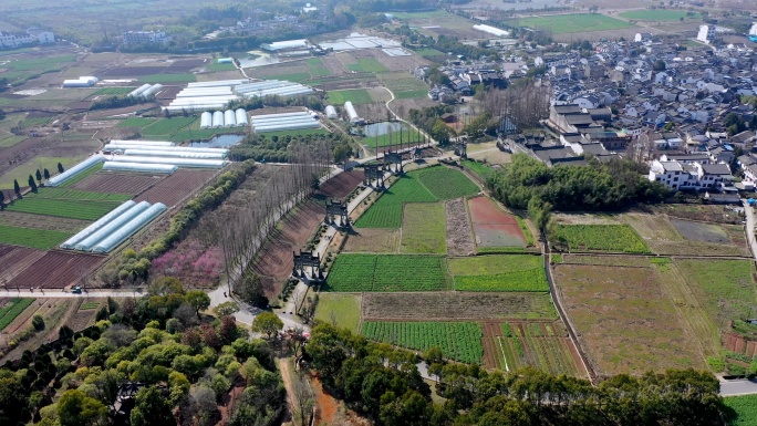 安徽省黄山市歙县棠樾牌坊群景区航拍风光