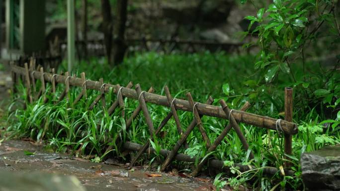 下雨天杭州虎跑圈前的篱笆
